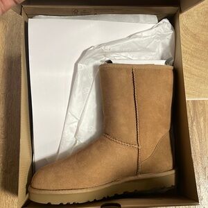 Women’s short Ugg boots